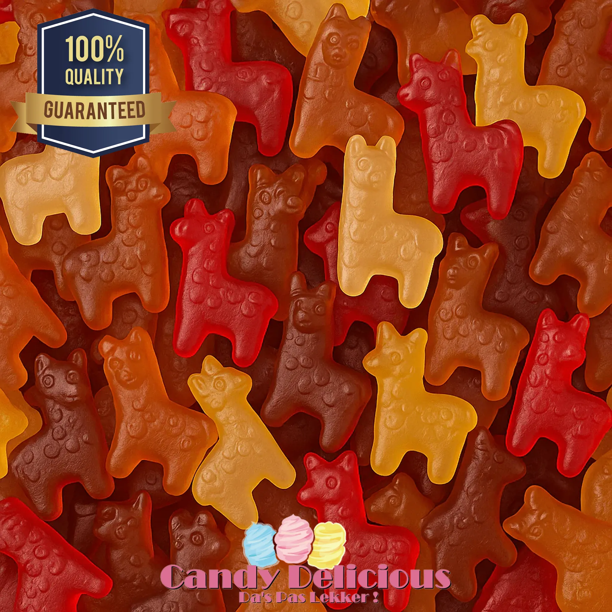 Alpaca Katja Detail | Kermissnoep